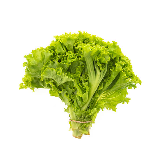 vajhafoods.com