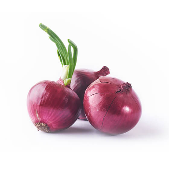 vajhafoods.com