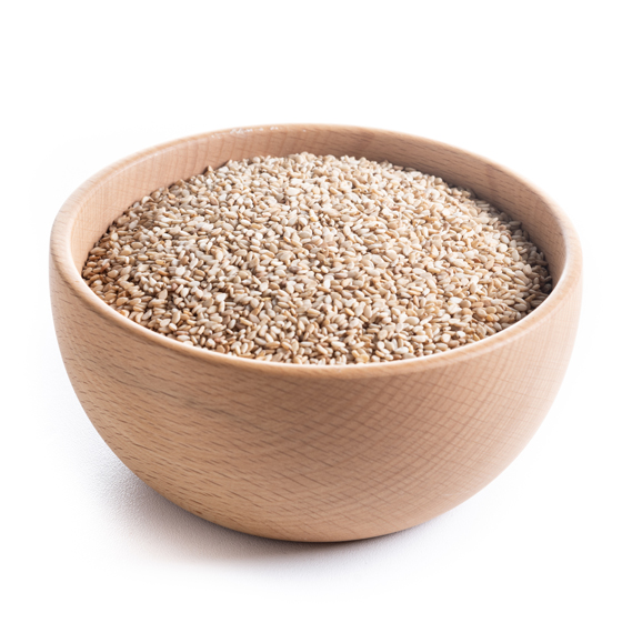 Vajha foods